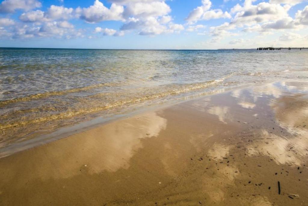 Ferienwohnung Strandvilla Augustusbad 14 沙博伊茨 外观 照片