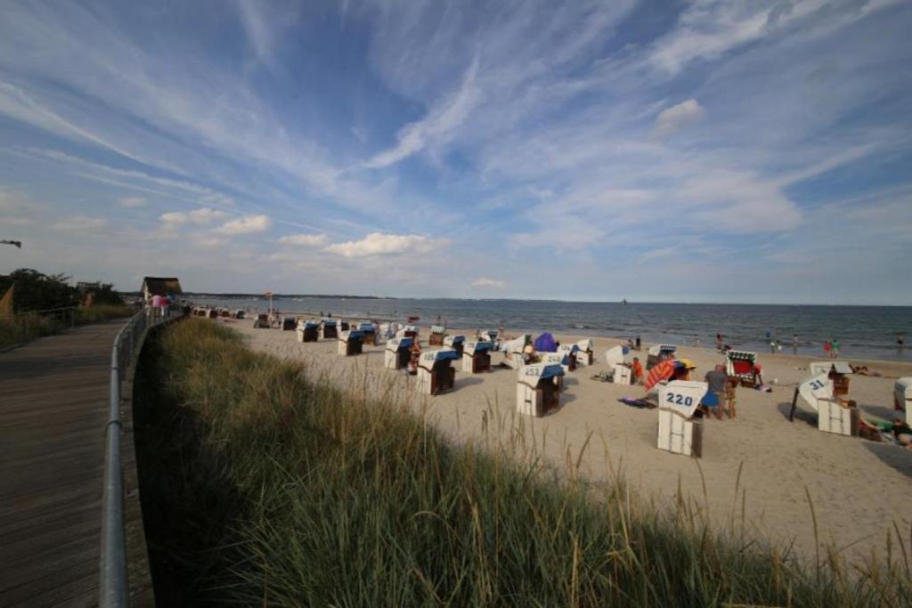 Ferienwohnung Strandvilla Augustusbad 14 沙博伊茨 外观 照片